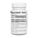 Source Naturals, DMG 100mg (30,60) Tablet| Maple Herbs