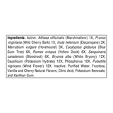 Source Naturals, Wellness Cough Syrup, 8 Oz Liquid