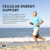 Source Naturals, Life Force Multiple, 180 Capsules