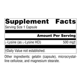 Source Naturals, L-Lysine, 500 Mg, 100 Capsules