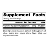 Source Naturals, MethylCobalamin, 5 Mg Cherry, 120 Lozenge