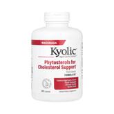 Kyolic, Aged Garlic Extract, Formula 107, 240 Capsules