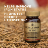Solgar, Gentle Iron, 25 Mg, 90 Vegetable Capsules