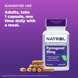 Natrol, Pycnogenol 50mg, 60 Capsules