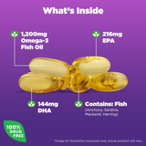 Natrol, Omega-3, 1200 mg Fish Oil, 60 Softgels