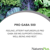 NaturesPlus, PRO GABA 500, 60 Capsules