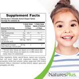 NaturesPlus, Animal Parade, Vitamin C, Children's Chewable Supplement, Sugar Free, Orange Juice, 90 Animal-Shaped Tablets