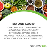 NaturesPlus, Beyond CoQ10 Ubiquinol, 100 Mg, 30 Softgels