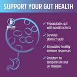 Zhou, S. Boulardii, Saccharomyces Boulardii, Gastrointestinal Probiotic, 60 Veggie Capsules