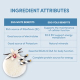 Designer Wellness, Designer Egg, Whole Egg Multifunction Protein Powder, Classic Vanilla, 12.4 oz (352 g)