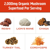 Om Mushrooms, Mushroom Morning Blend, 10 Packets, 8 g Each