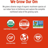 Om Mushrooms, Mushroom Morning Blend, 10 Packets, 8 g Each