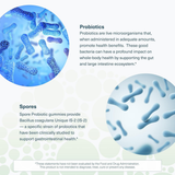 Youtheory, Spore Probiotic, 60 Gummies