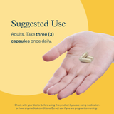 Youtheory, Lion's Mane Plus, 60 Vegetarian Capsules