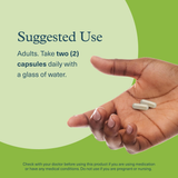 Youtheory, Spore Probiotic Advanced, 60 Vegetarian Capsules