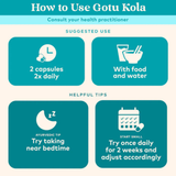 Organic India, Gotu Kola, 700 Mg, 90 Vegetarian Caps