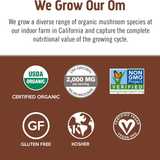 Om Mushrooms, Superfoods Mushroom Blend Coffee, 10 Packets, 0.2 oz, 5.8 g Each