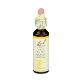 Bach, Original Flower Remedies, Gorse, 20 Ml