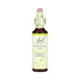 Bach, Original Flower Remedies, Chestnut Bud, 20 Ml