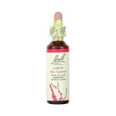 Bach, Original Flower Remedies, Larch, 20 Ml