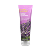 Desert Essence, Bulgarian Lavender Body Wash, 8 Fl Oz