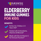Havasu Nutrition, Elderberry Gummies for Kids, 60 Gummies