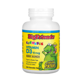 Natural Factors, Big Friends, Chewable Vitamin D3, Berry Bunch, 10 Mcg, 250 Chewable Tablets