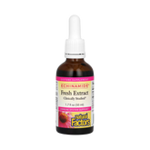 Natural Factors, Echinamide Fresh Extract, 1.7 Fl Oz