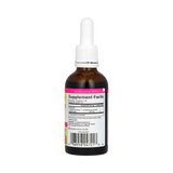 Natural Factors, Echinamide Fresh Extract, 1.7 Fl Oz