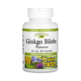 Natural Factors, Ginkgo Biloba, Phytosome, 60 Mg, 60 Capsules