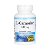 Natural Factors, L-Carnosine, 500 Mg, 60 Vegetarian Capsules