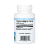 Natural Factors, NAC, N-Acetyl-L Cysteine, 500 Mg, 90 Vegetarian Capsules