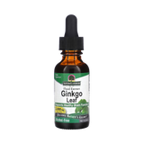 Nature’s Answer - Ginkgo Alcohol Free Extract, 1 Oz