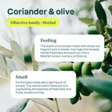 Attitude, Dishwashing Liquid Coriander & Olive, 23.7 Fl Oz
