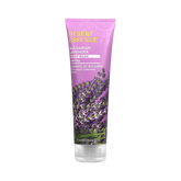 Desert Essence, Bulgarian Lavender Body Wash, 8 Fl Oz