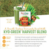kyolic, Kyo-Green, Harvest Blend Immune Defense, Powdered Drink Mix, 6.3 Oz, 180 g