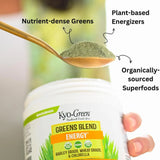 Kyolic, Kyo-Green, Powdered Drink Mix, Greens Blend, 5.3 oz, 0.33 lb
