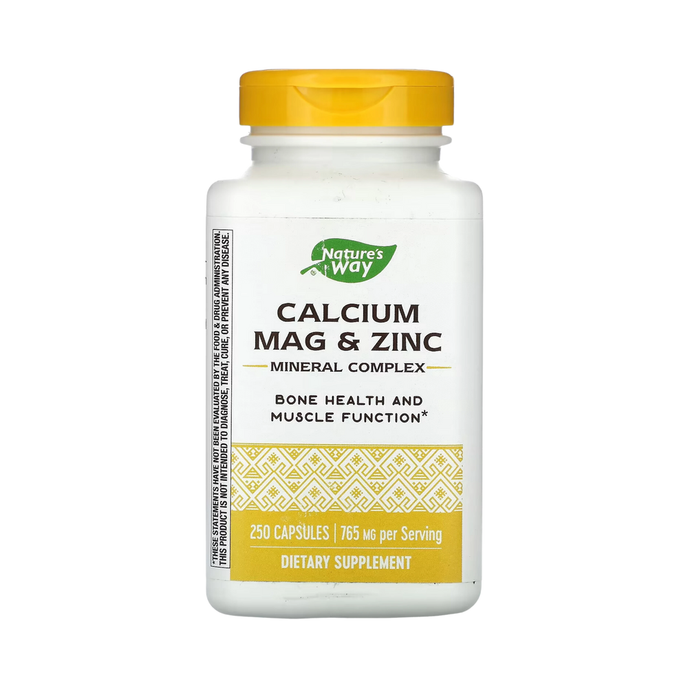 Nature's Way, Calcium Mag Zinc, 250 Capsules