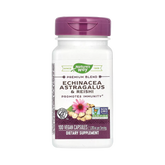 Nature's Way, Echinacea Astragalus & Reishi, 100 Capsules
