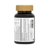 NaturesPlus, Ageloss Brain Support, 60 Veg Capsules