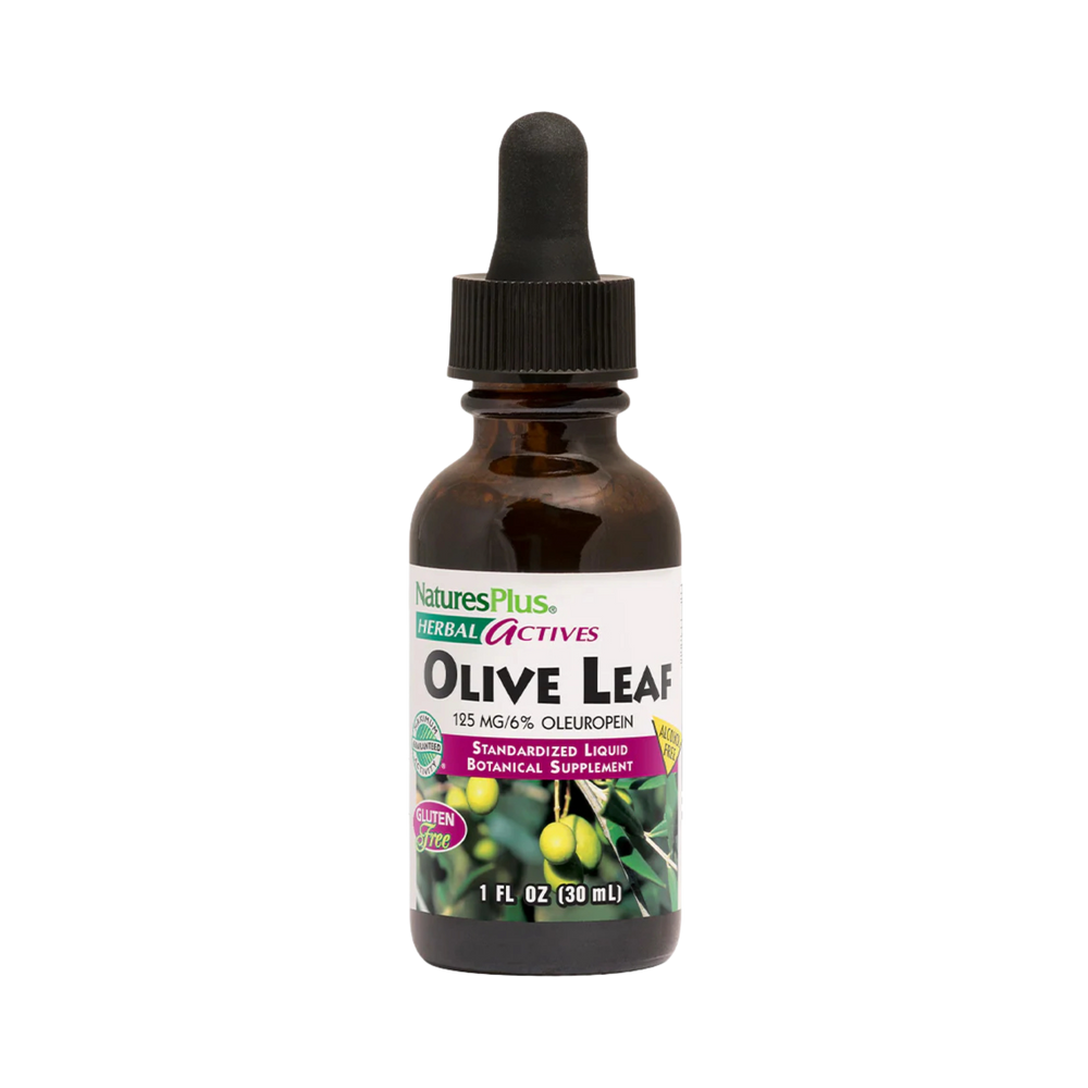 NaturesPlus, Herbal Actives, Olive Leaf, Alcohol Free, 125 Mg, 1 Fl Oz