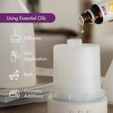 NOW Foods, Essential Oils, Rosemary, 4 fl oz, 118 ml