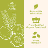 Organic India, Amla, 1,000 Mg, 90 Vegetarian Cap