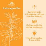 Organic India, Ashwagandha Root Powder, 16 Oz