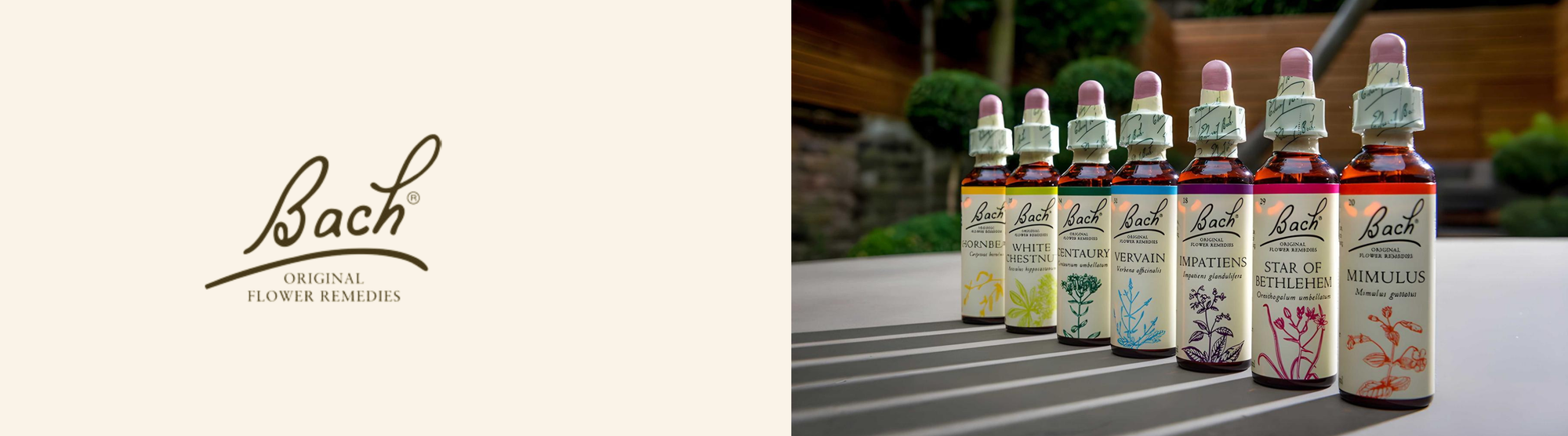 Bach Original Flower Remedies