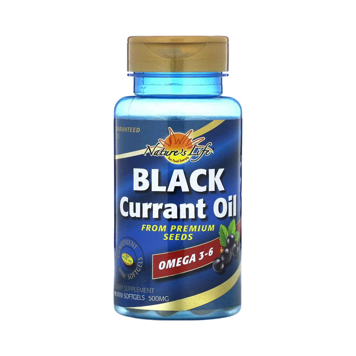 Nature's Life, Black Currant Oil, 500 mg, 90 Mini Softgels