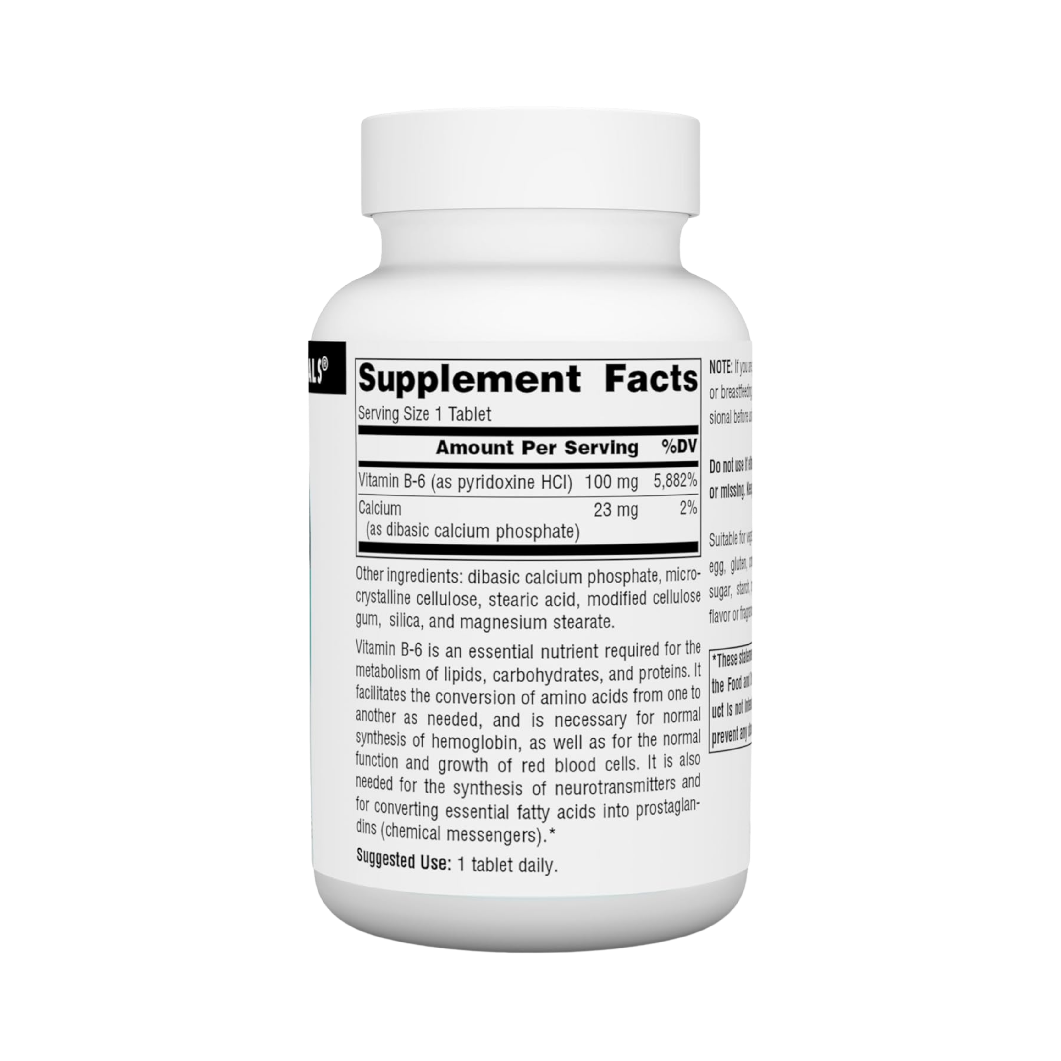 Source Naturals, B-6, 100 Mg, 250 Tablets