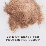 Solgar, Grass Fed Whey To Go, Protein Powder, Chocolate, 36.8 Oz (1044 g)