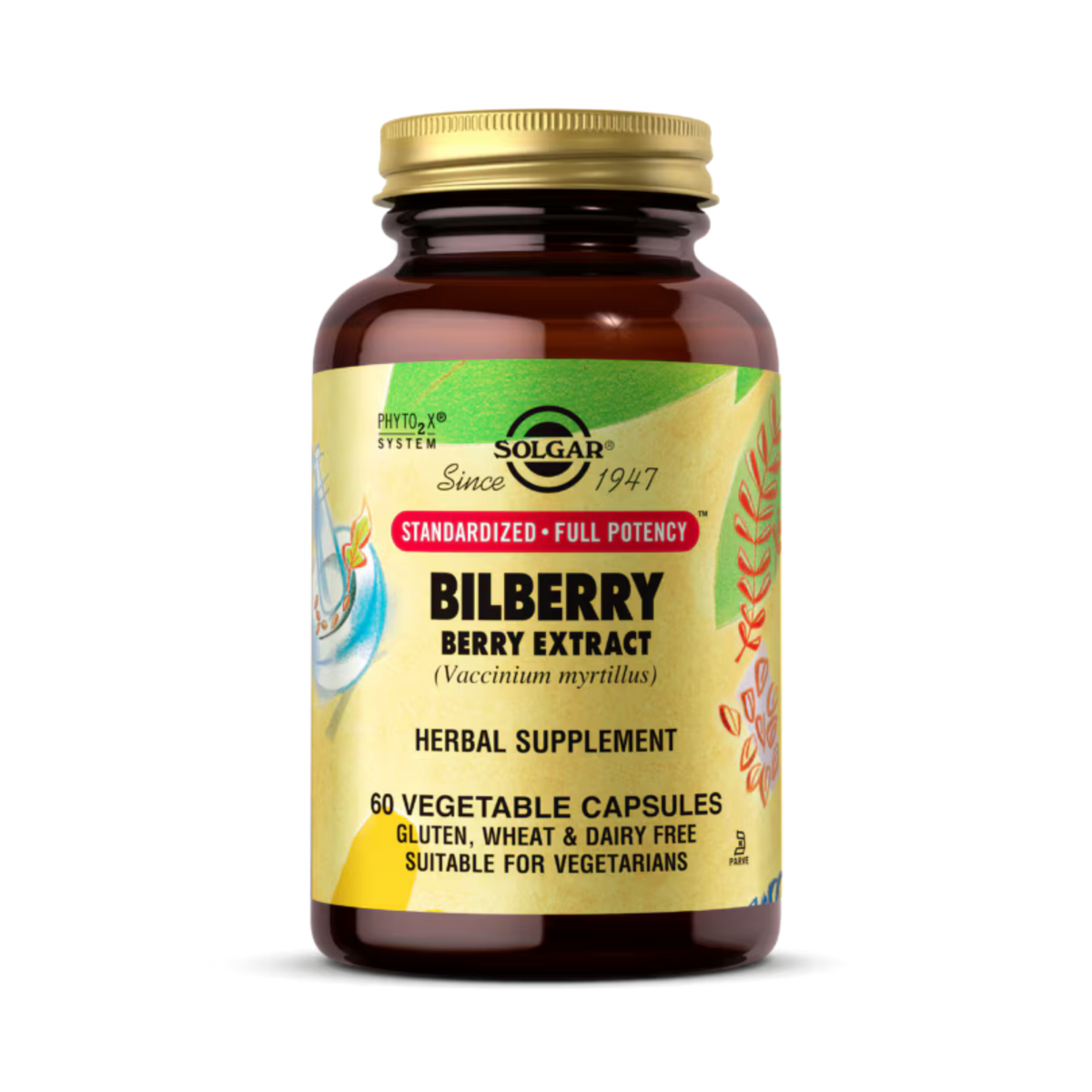 Solgar, SFP Bilberry Berry Extract, 60 Vegetable Capsules