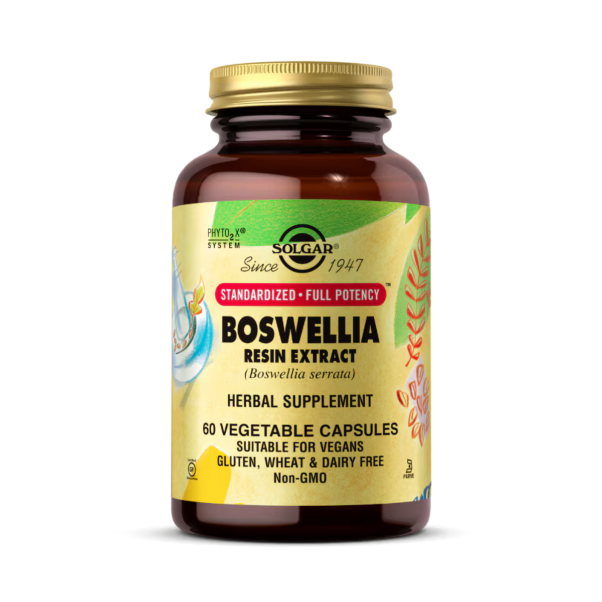 Solgar, Boswellia Resin Extract, 60 Vegetable Capsules